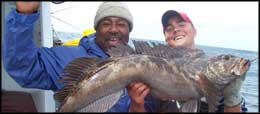Ling Cod